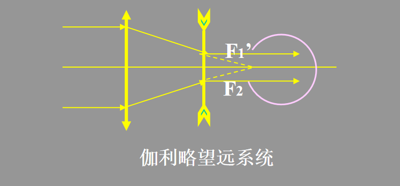 images_1